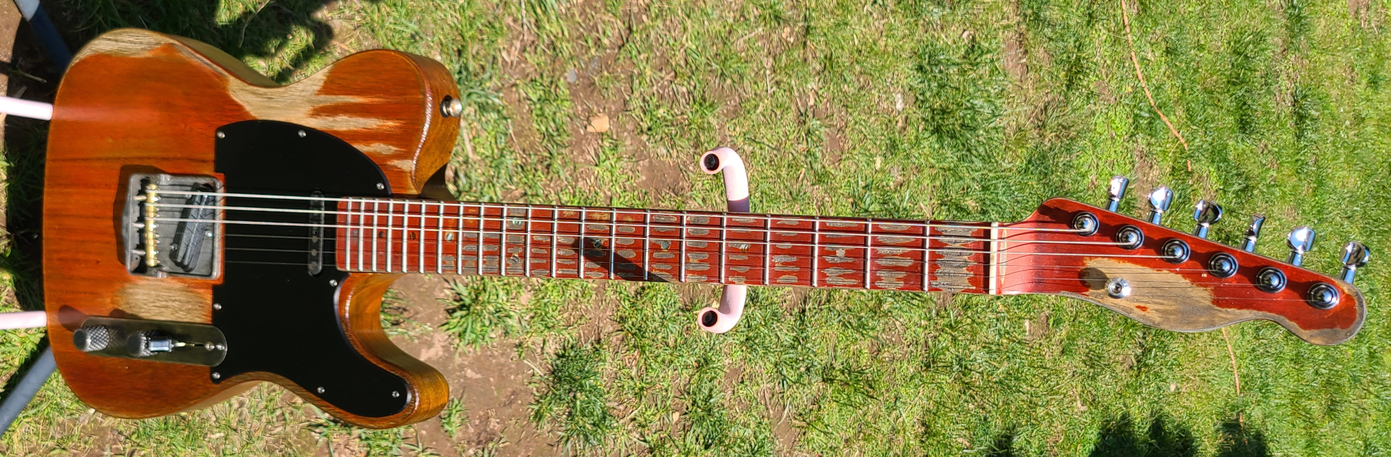 image from Paulownia Tele Relic